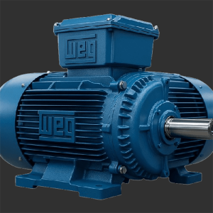 WEG Electric Motors(Brazil)